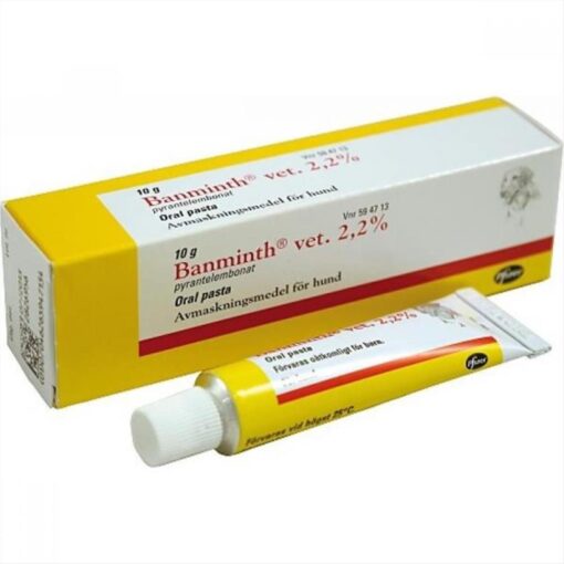 BANMINTH ΠΑΣΤΑ ΣΚΥΛΟΥ 24gr
