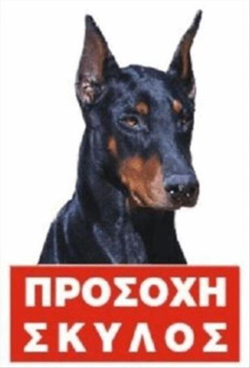ΠΙΝΑΚΙΔΑ ΜΕΤΑΛΙΚΗ ΕΓΧΡΩΜΗ 20Χ30cm