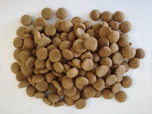 BREED LINE MAXI 20 KG - Image 2