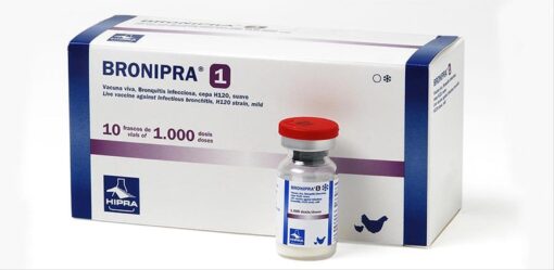 BRONIPRA-1