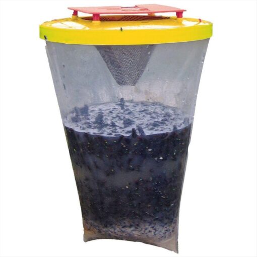 ΜΥΓΟΠΑΓΙΔΑ FLY TRAP