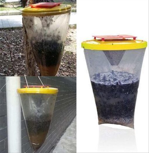 ΜΥΓΟΠΑΓΙΔΑ FLY TRAP - Image 2