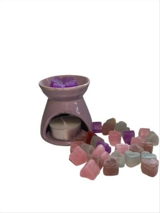 WAX MELT "ΚΑΡΔΟΥΛΑ" 30 τεμ - Image 2