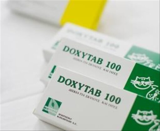 DOXYTAB 100MG